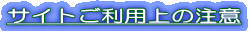 サイトご利用上の注意 