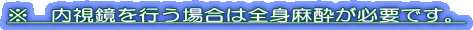 ※　内視鏡を行う場合は全身麻酔が必要です。 