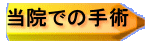 @ł̎p