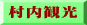 村内観光